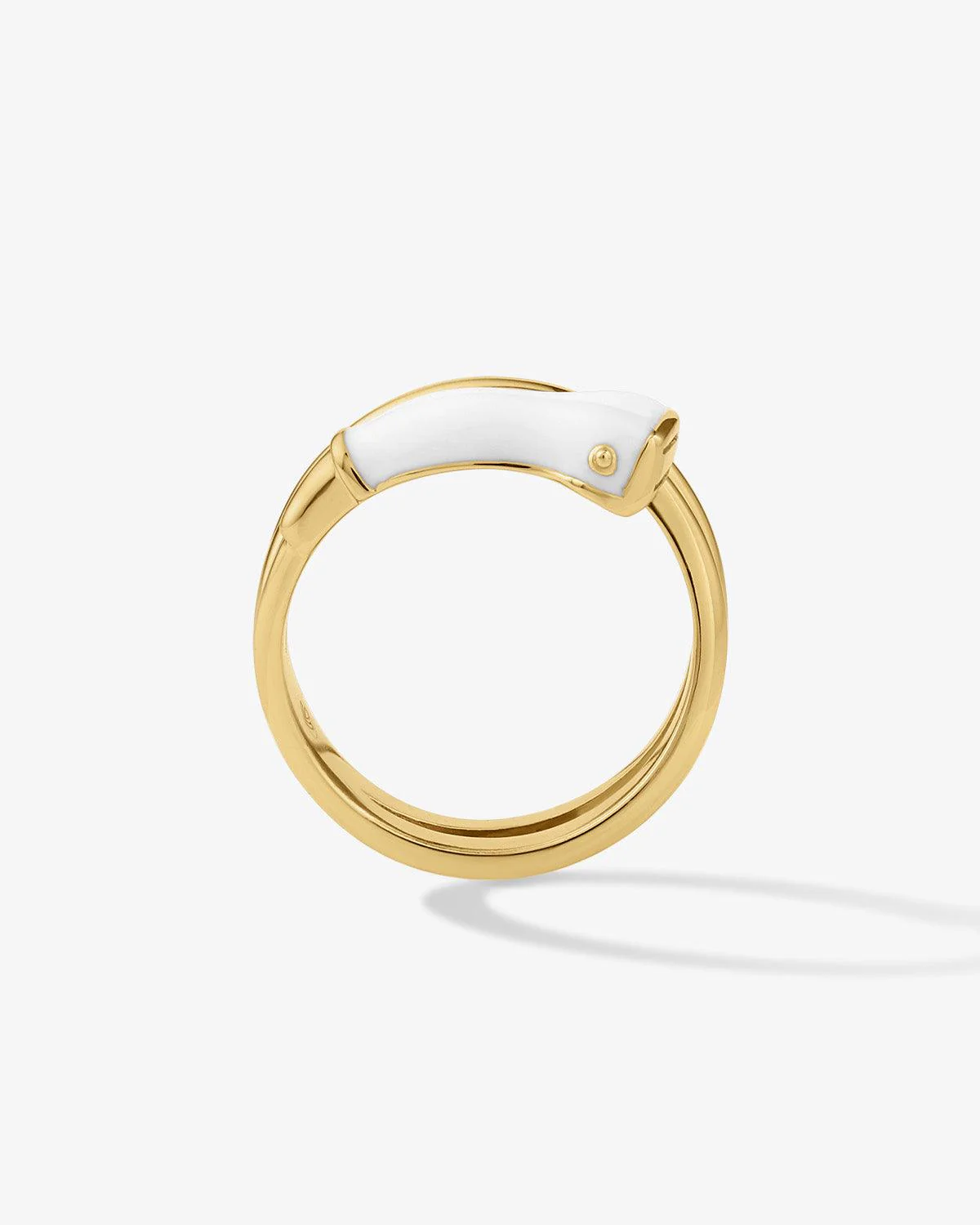 Ultrasound Transducer Enamel Ring - Image 3